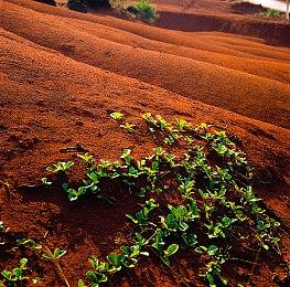 国行版Switch OLED今日开启预售 官方价格2599元